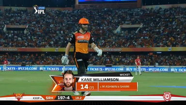 M48: SRH vs KXIP – Kane Williamson Wicket