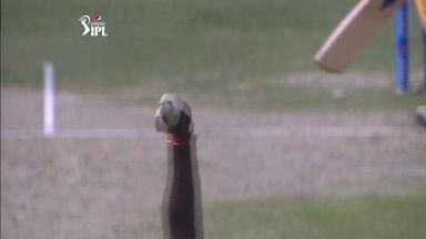 M03: CSK vs KXIP – Fall of Wickets