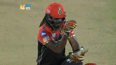 The time when the Gujarat Lions knew what 'bit' them