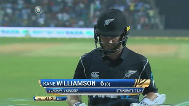 IND vs NZ 2017, 1st ODI: Kane Williamson Wicket