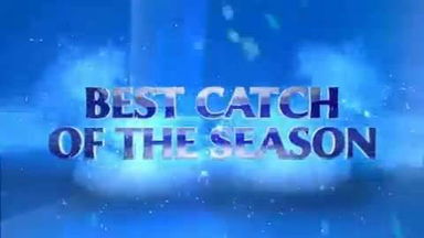 Best Catches of IPL 2014