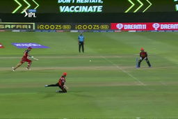 Kane’s fielding masterclass pegs back Maxwell