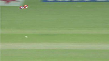 M14 DD vs SRH – Johan Botha Wicket