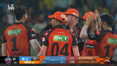 M40: DC vs SRH – Fall of Wickets