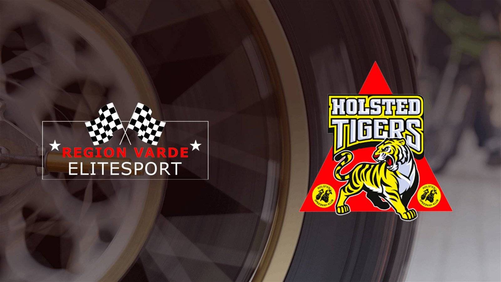 Region Varde Elitesport Holsted Tigers