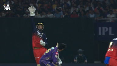 Bounce, leap, save: A rare sight ft. Krunal & Jitesh