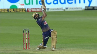Tripathi's Handsome SIX