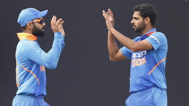 All in 1: Bat, Pad, Caught & Bowled
