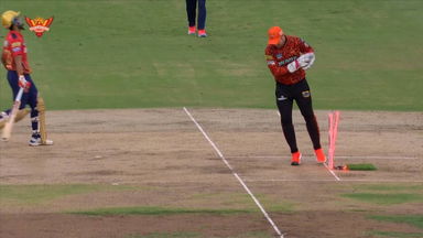 Alert & Athletic: Nitish Reddy's pulls of brilliant run out
