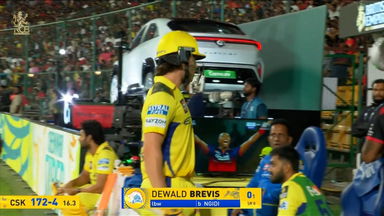IPL 2025 M52: RCB vs CSK - Dewald Brevis Wicket