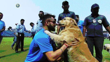 An unconditional love called dogs, featuring Virat Kohli