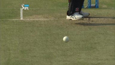 M8: SRH vs KKR – David Warner Wicket