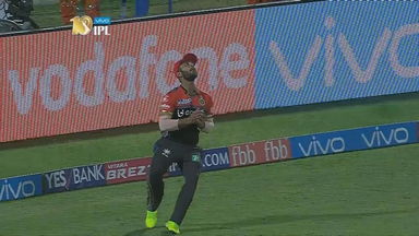 M20: GL vs RCB – VIVO perfect catch of the match – Mandeep Singh