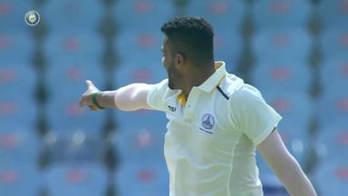 Lakshminarayanan Vignesh's 4/91 for Tamil Nadu