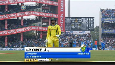 IND vs AUS 2019, 5th ODI: Alex Carey Wicket