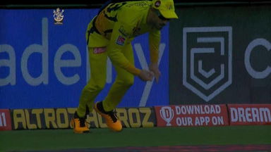 A full stretch Faf Catch