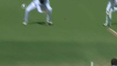 3rd Test : IND vs SA  –  Murali Vijay Wicket