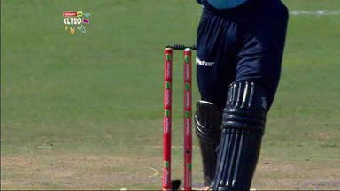 Q3: AA vs HAM –  Martin Guptill six