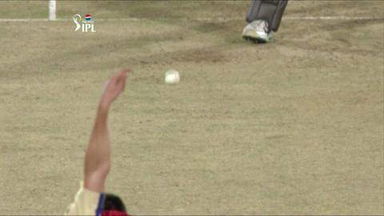 M7: SRH vs RCB – Cameron White Wicket