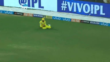 Jaddu's swift as a deer catch