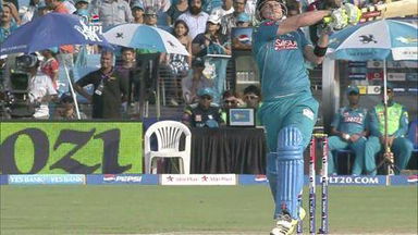 M71: PWI vs DD  – Luke Wright Wicket