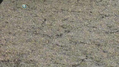 India vs SA, 4th Test - Day 2 :  Pitch Report