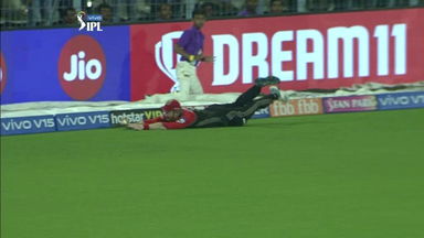 Class from Klaasen at the boundary ropes