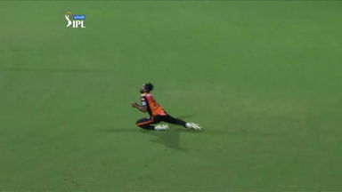 Catch it like Vijay Shankar