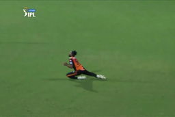 Catch it like Vijay Shankar