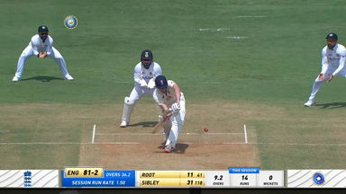 A peppy Pant behind the stumps