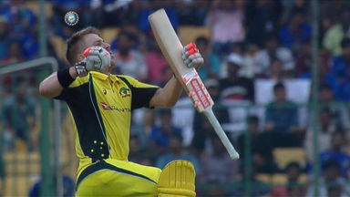 David Warner's whirlwind 124 (119)