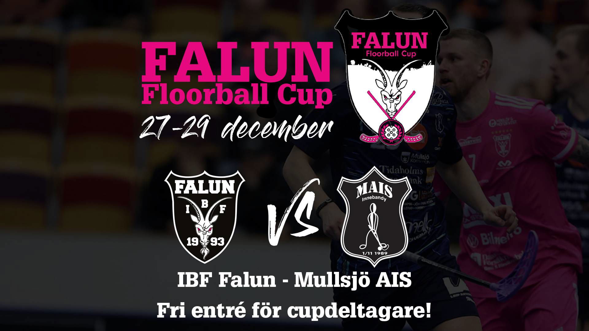 Spela Falun Floorball Cup och se världens bästa spelare live! IBF Falun