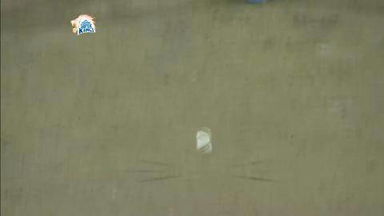M50: CSK vs SRH – Dwayne Smith Wicket