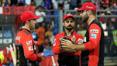 IPL 2016: Daniel Vittori on RCB's road to playoffs