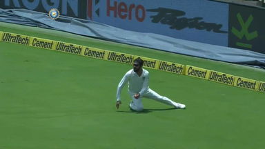 Jadeja or Cheetah - you decide