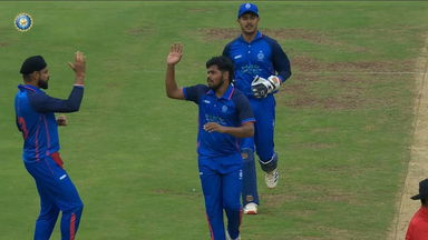SMAT 2024 SF2, Delhi vs Madhya Pradesh: Fall of Wickets