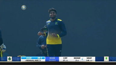 Syed Mushtaq Ali Trophy 2019-20, ASM vs MEG: Fall of wickets