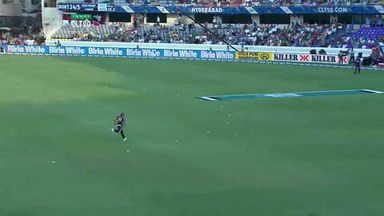 M21: KKR vs HOB –  Evan Gulbis Wicket
