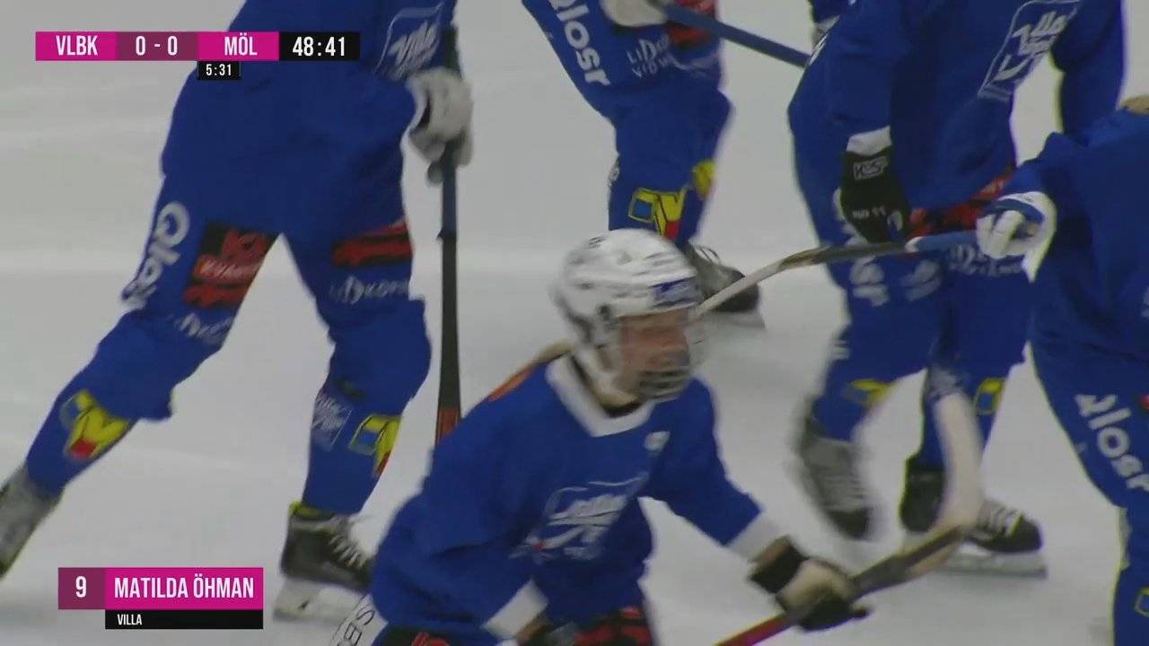 Highlights: Villa Lidköping - Mölndal (Dam)