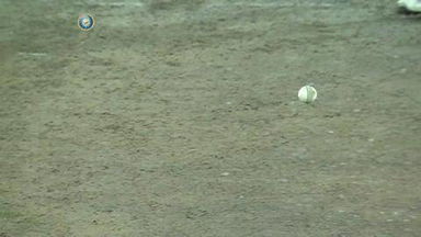 2ND T20I: IND vs SL – Dushmantha Chameera Wicket