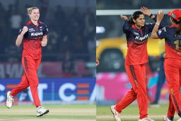 Castled x 2, courtesy Lauren Bell & Radha Yadav