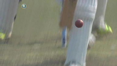 3rd Test : IND vs SA  –  Dane Vilas Wicket
