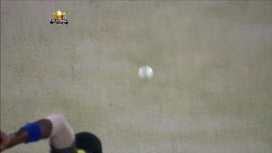 M74: RR vs SRH – Stuart Binny Wicket