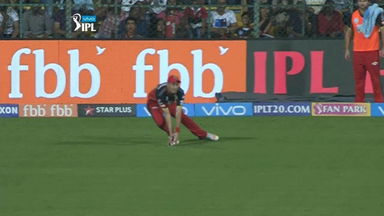 On-field drama. Out or Not Out?