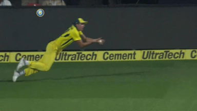 Will you see a better catch than this?