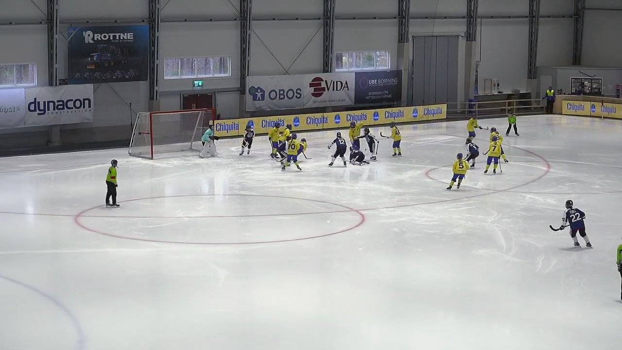 Highlights Sverige - USA