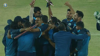 Vijay Hazare Trophy 2023 Final, Haryana vs Rajasthan: Fall of Wickets